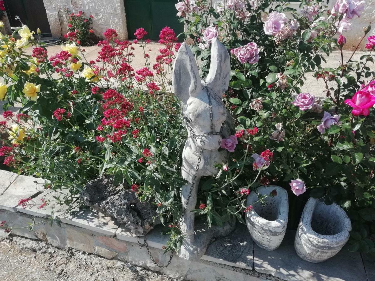Apartment Nada Rogoznica  Εξωτερικό φωτογραφία
